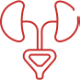 Urology