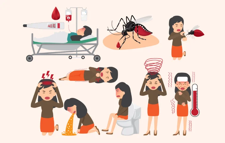 dengue-banner2.webp