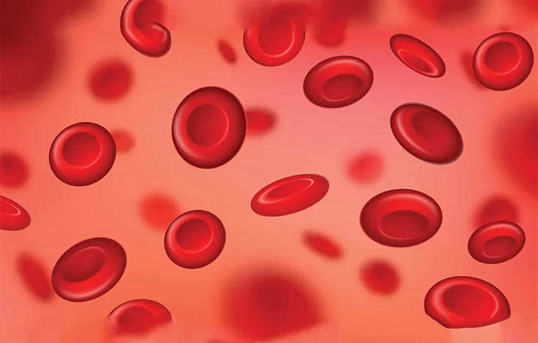 thalassemia-banner1.webp
