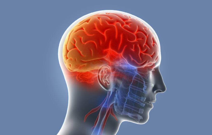 head-injury-banner (4).webp