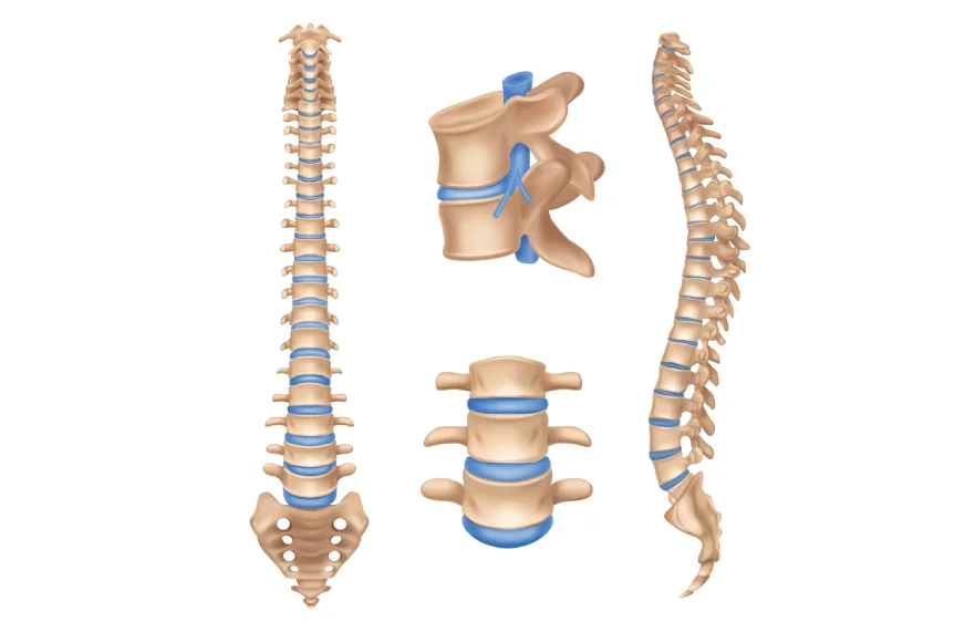 62procs_spinal-fixation-surgery-banner.webp