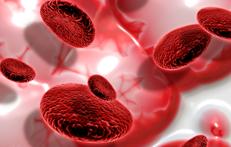 anemia-bannernew2.webp